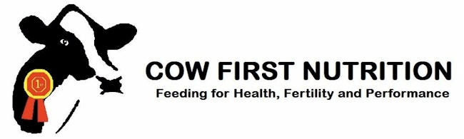 Cow First Nutrition